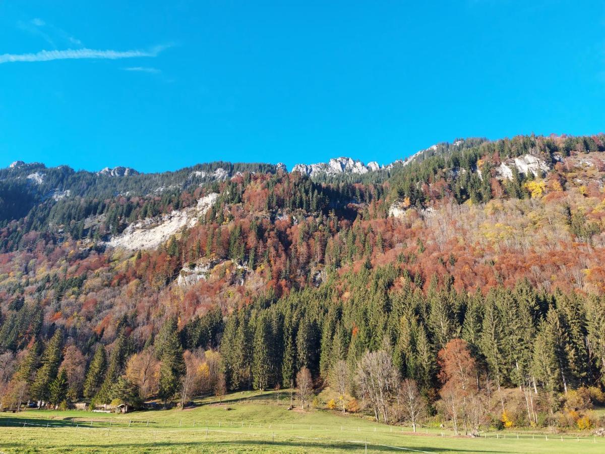Fewo Sonnenberg Graswang Exteriér fotografie